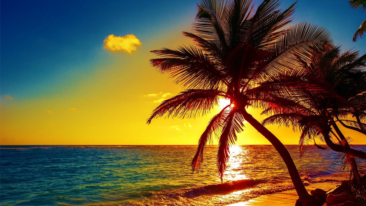 Beautiful Relaxing Peaceful Music, Calm Music 24/7